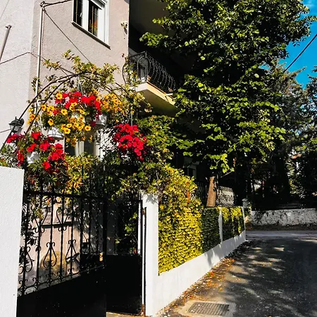Ermis 2 Πρίνος